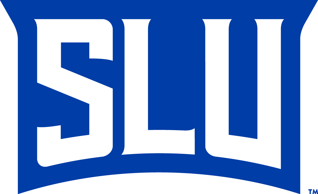 Saint Louis Billikens 2015-Pres Wordmark Logo v6 iron on transfers for clothing